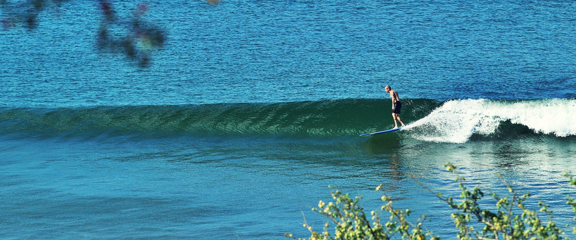 Surfista en una ola en Gran Pacífica